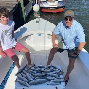 Meet your Posher, Albert